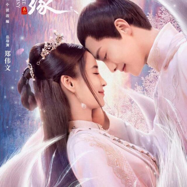 中国ドラマ【塵縁＜じんえん＞～Destiny Lovers～】全話　DVD＆Blu-ray