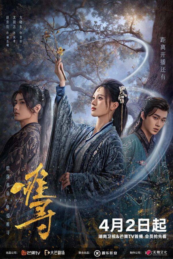 中国ドラマ【難尋～連理の枝 相寄り添う～】全話　DVD＆Blu-ray