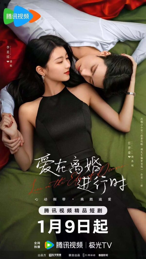 中国ドラマ【Love in the Edge of Divorce／爱在离婚进行时】自動翻訳（修正なし）　全話　DVD＆Blu-ray